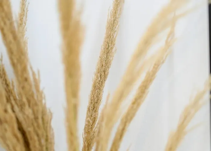 Blue Heart Luxury Апарт-отель